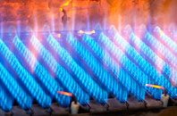Llanwyddelan gas fired boilers